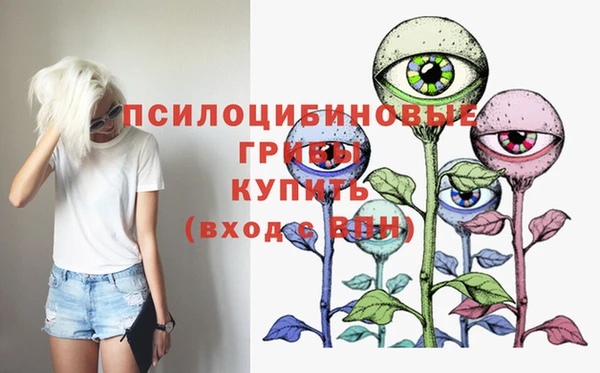 винт Балахна